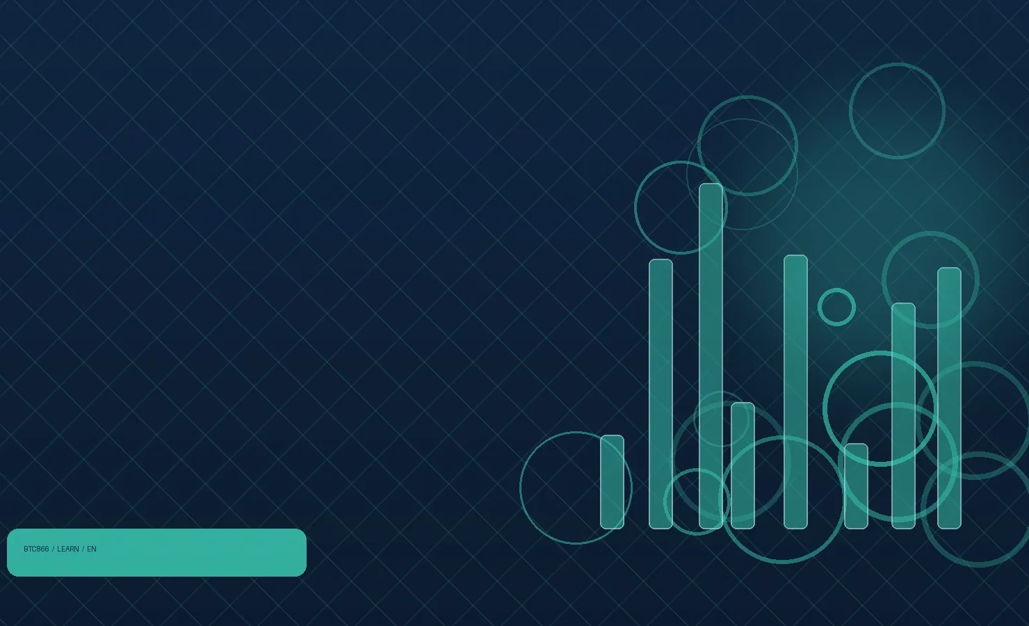 Reading a token contract page: supply, holders and permissions