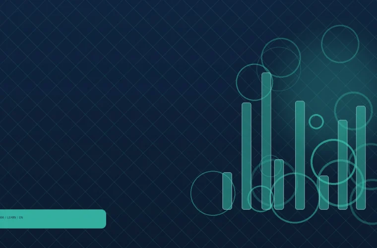 Reading a token contract page: supply, holders and permissions